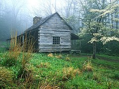 Peaceful Morning, Noah _Bud_ Ogles Place, Smoky Mtns., Tennessee